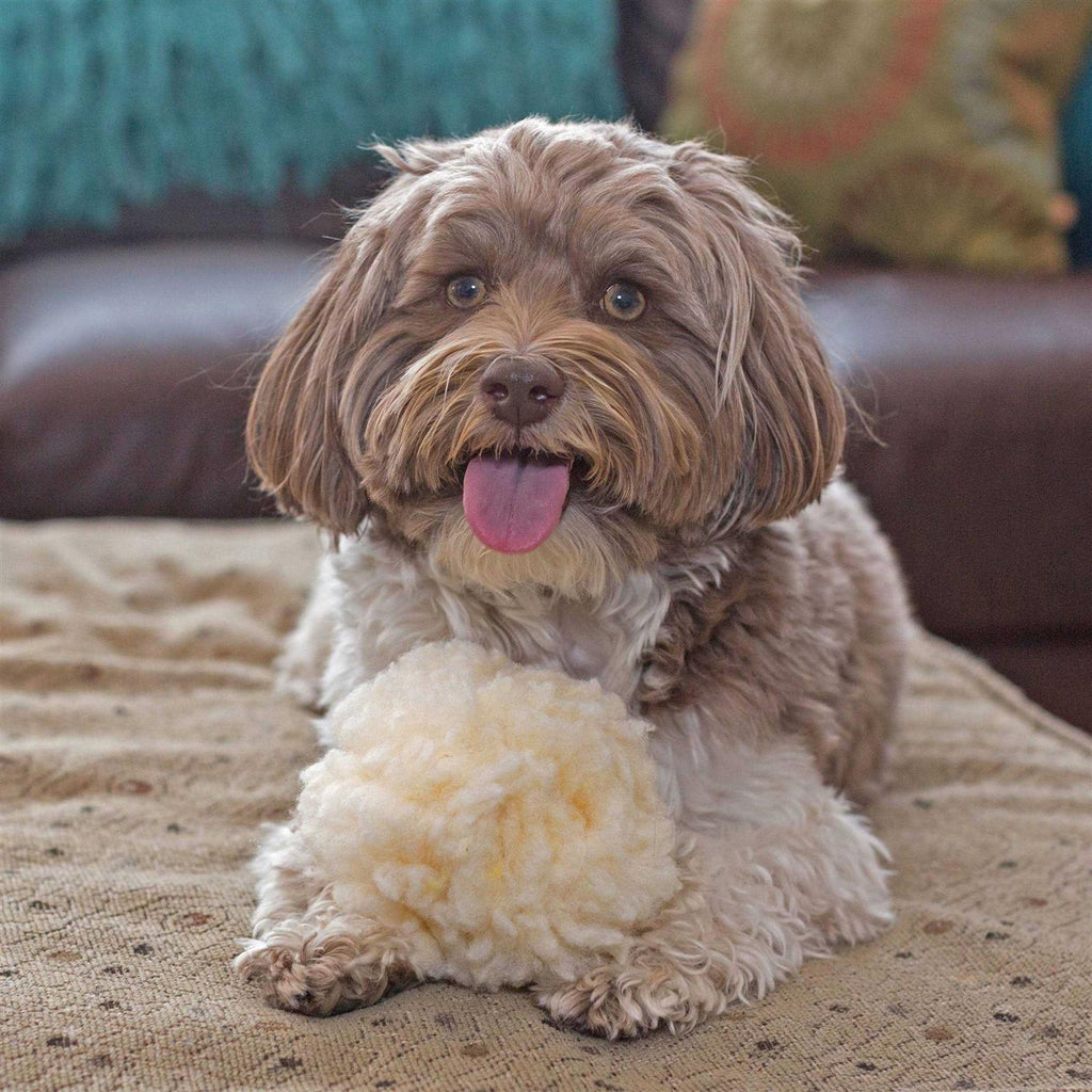 Fleece Ball Dog Toy U271078