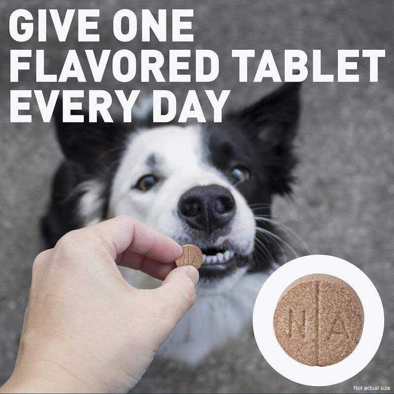 Chewable Tablets D5316