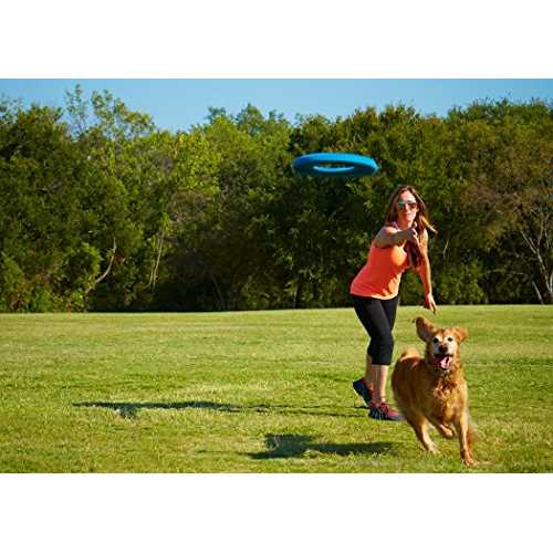 Rugged Flyer Dog Toy S23176