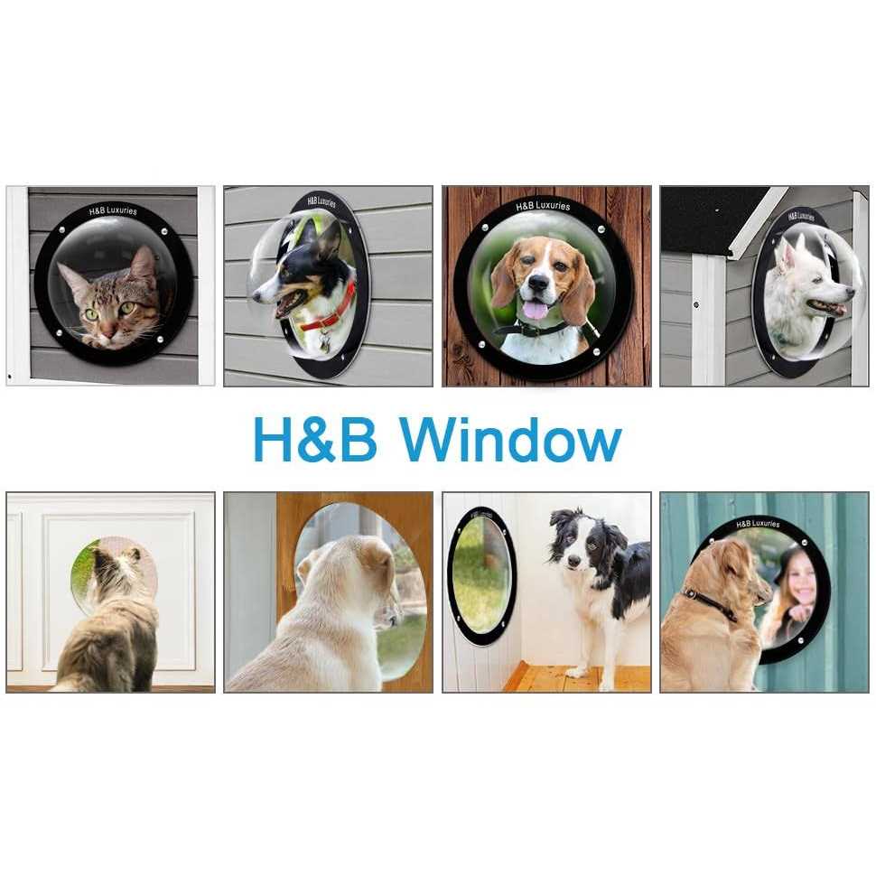Acrylic Dome Dog Window for Fence I665