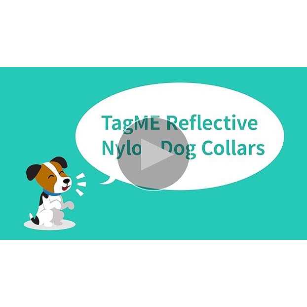 Reflective Nylon Adjustable Dog Collar with Quick Release Buckle F81690