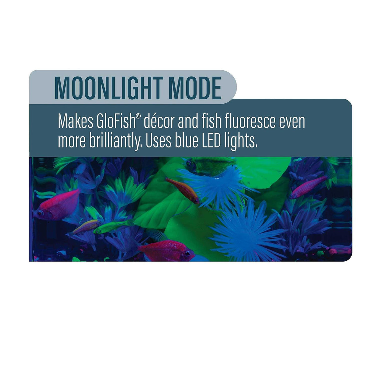 6 inch Blue LED Aquarium Light U206474