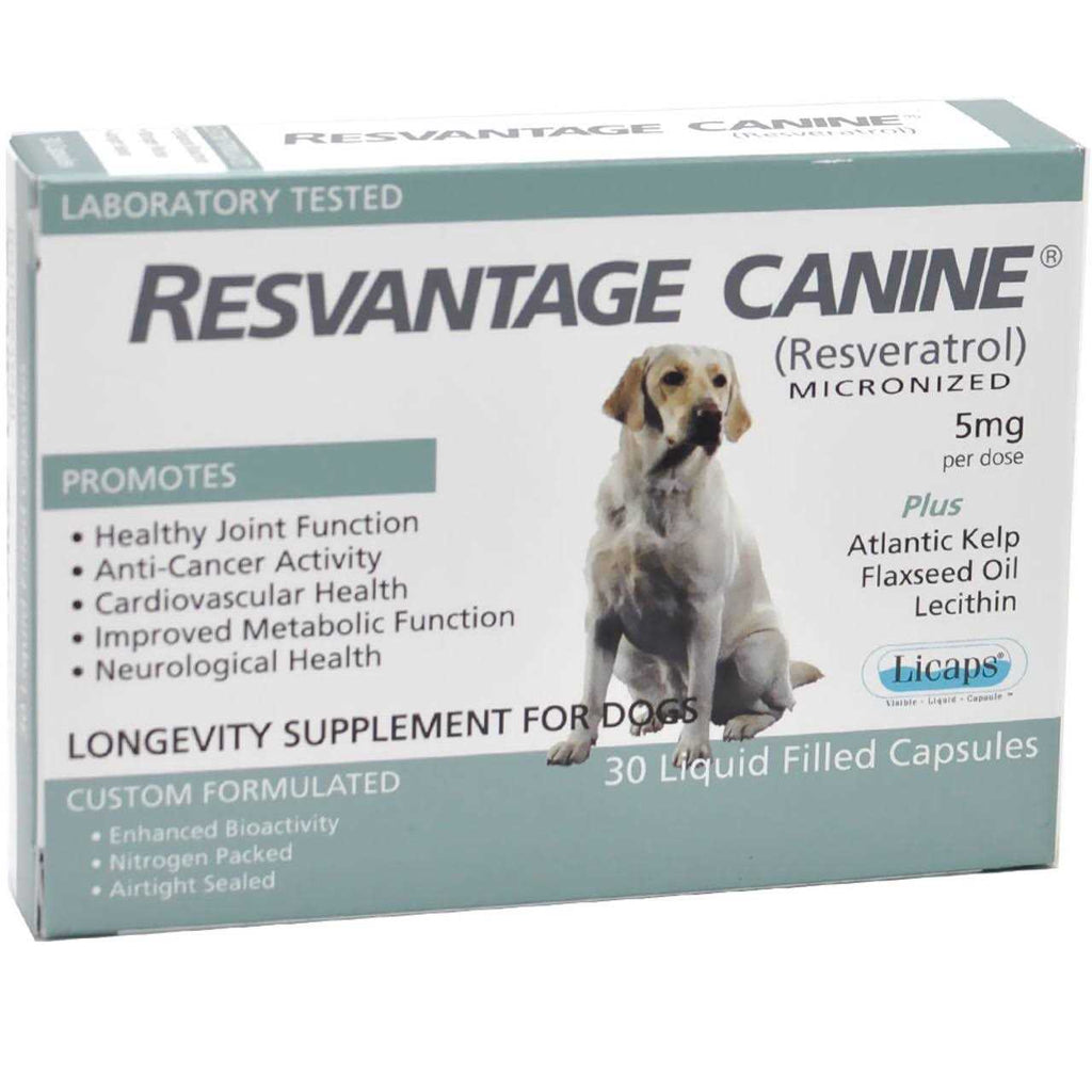 Pet Supplies C3739