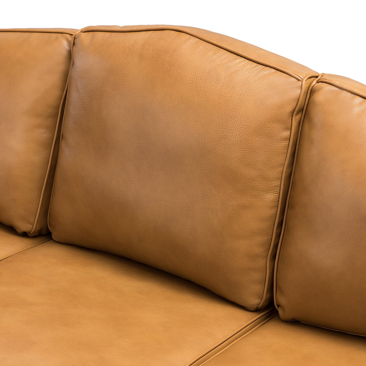 Transitional Sofa with Removable Cushions and Nailhead Trim F73594