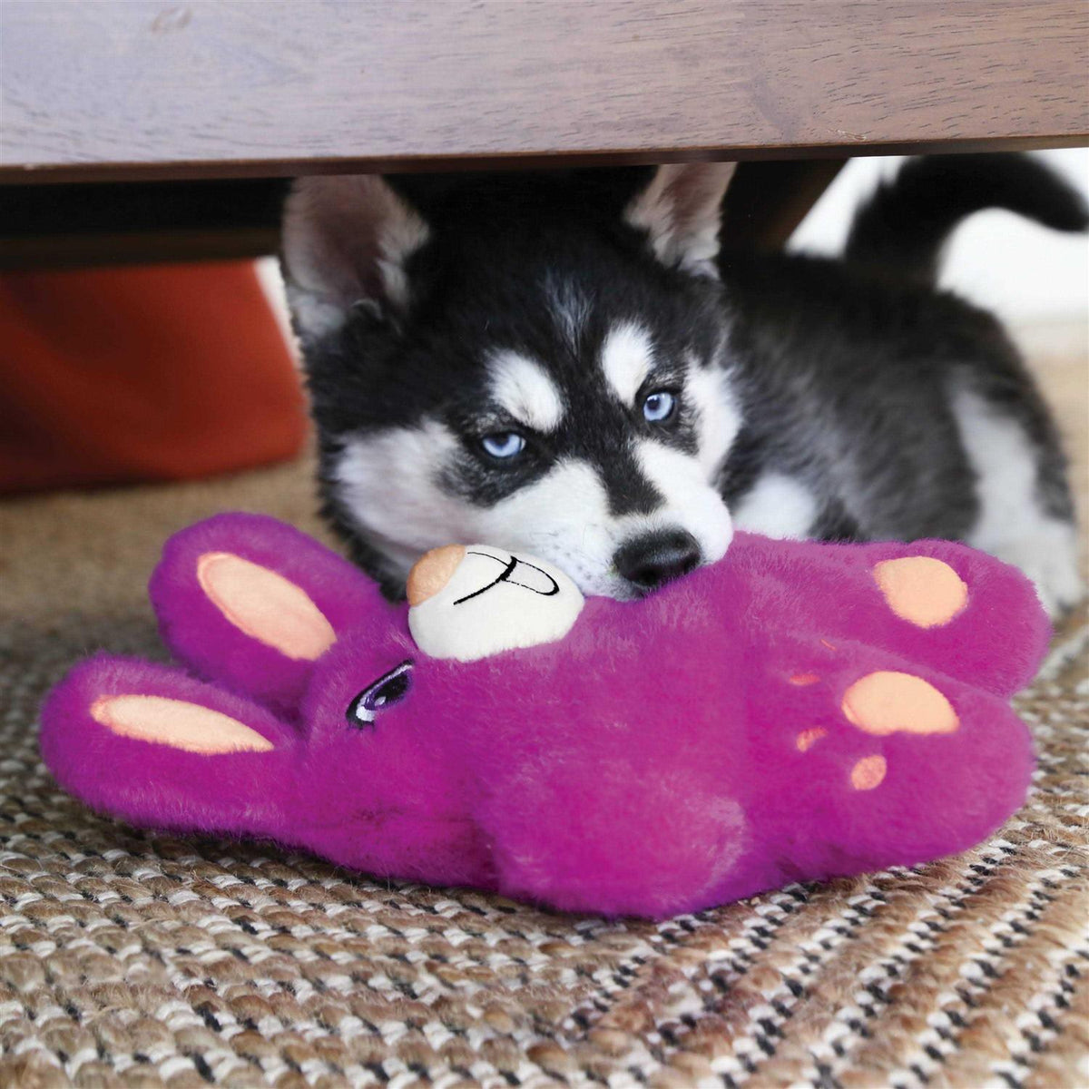 Bear Dog Toy H9087