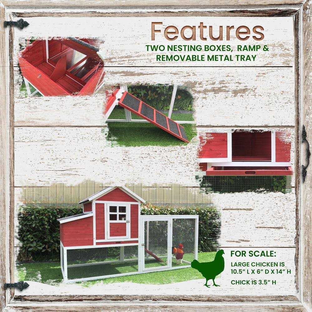 Elevated Wooden Chicken Coop with Ramp Nesting Box G8059