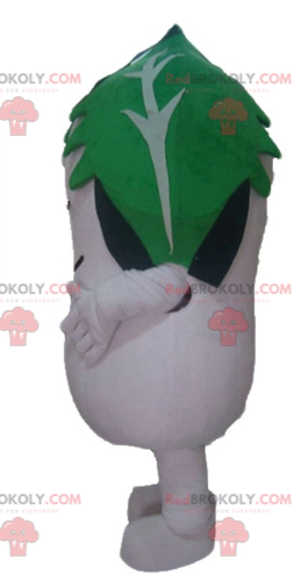 White Radish Mascot J990941