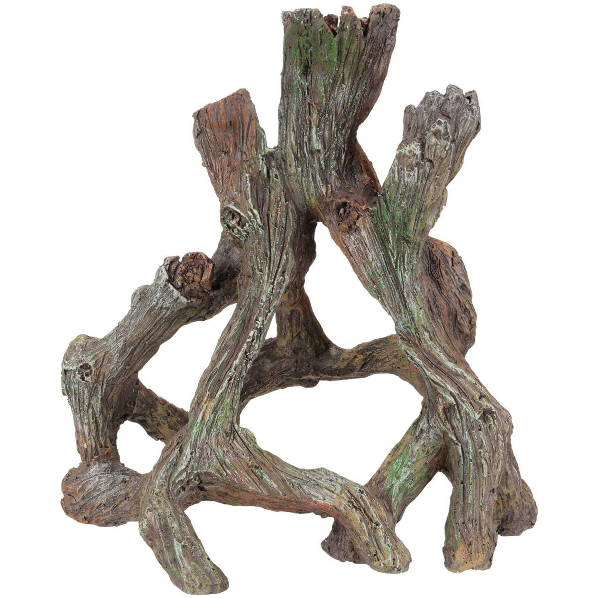 Mangrove Root M9334