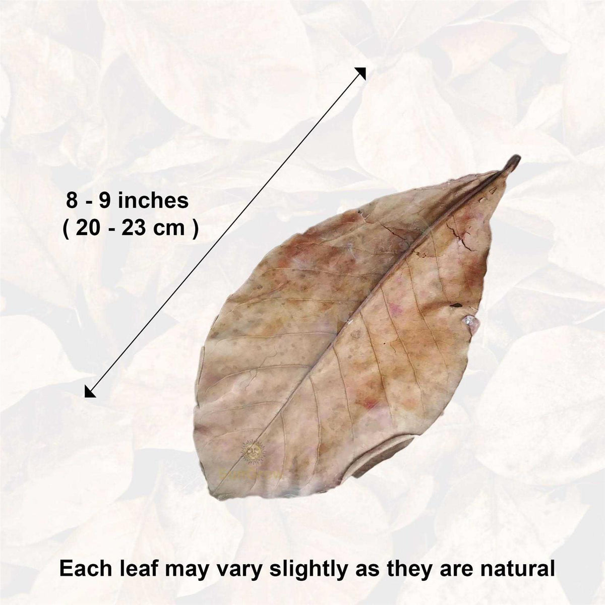 Indian Almond Leaves Water Conditioner & Tank Treatment Z200